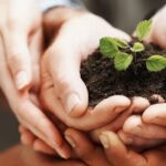 Blog Post 4 - Nonprofit WordPress Theme